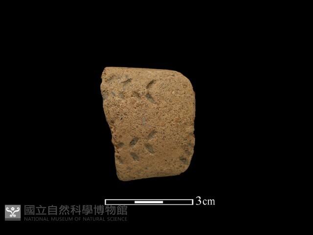 陶把藏品圖，第2張