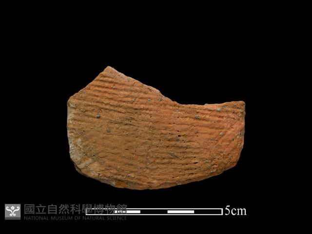 陶片藏品圖，第1張