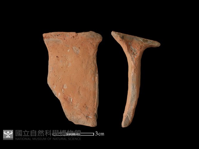 陶片藏品圖，第1張