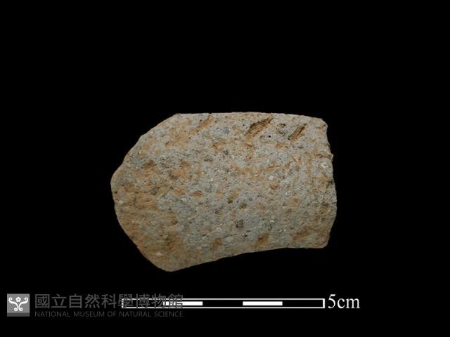 陶把藏品圖，第2張