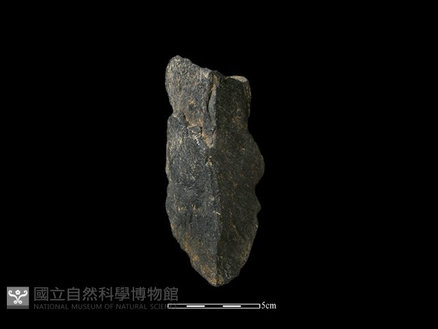 石片藏品圖，第2張