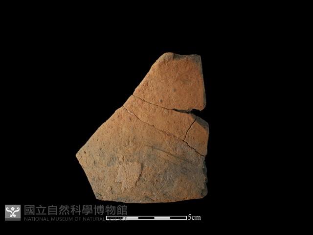 陶片藏品圖，第1張