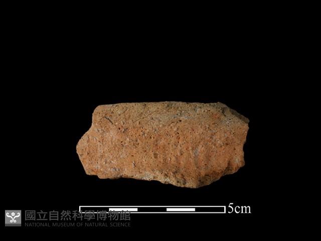 陶罐藏品圖，第1張