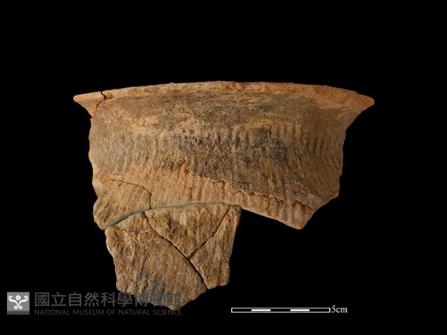 陶罐藏品圖，第2張