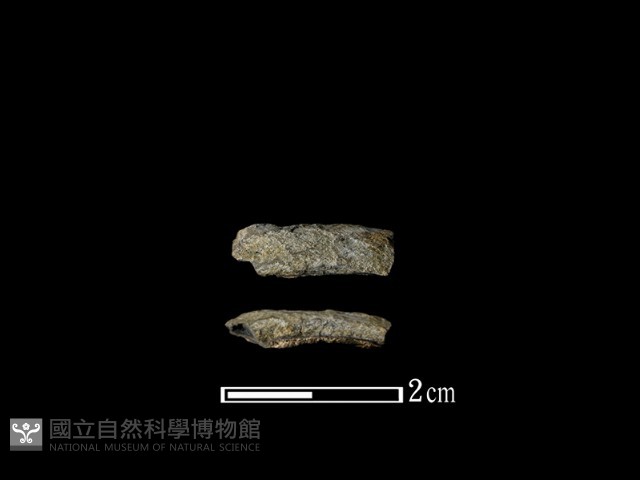 陶環藏品圖，第1張