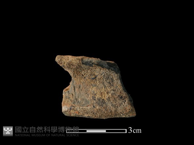 陶片藏品圖，第2張