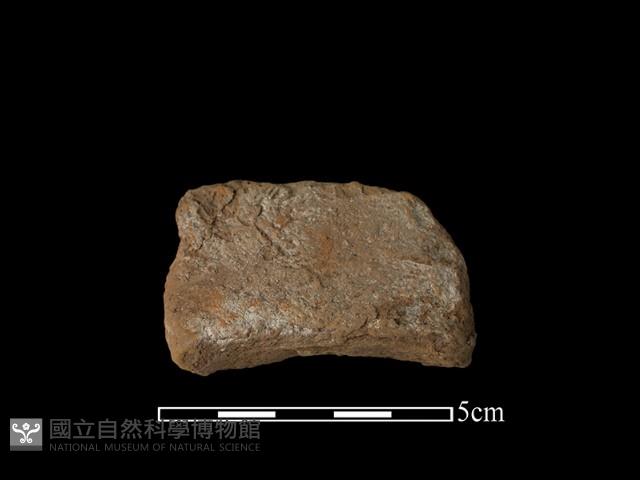 連杯形器藏品圖，第2張