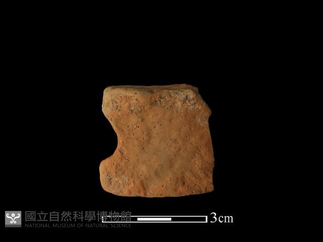 陶片藏品圖，第1張