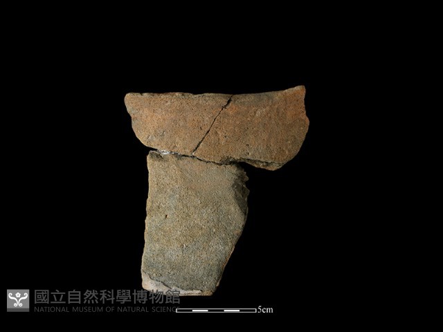陶片藏品圖，第1張