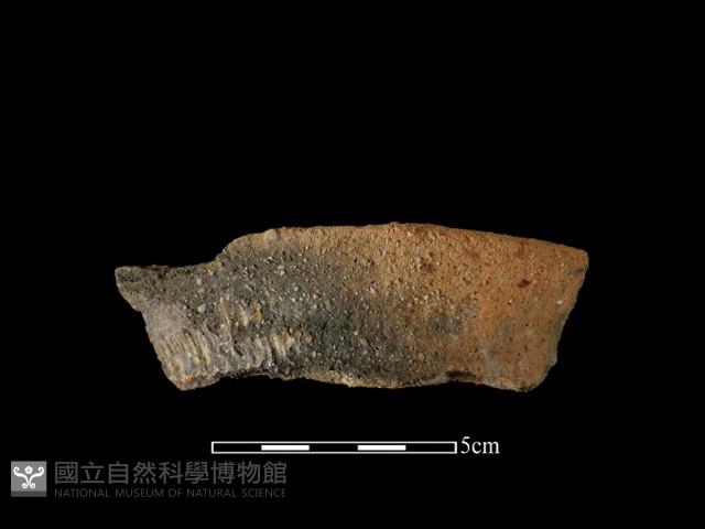 陶罐藏品圖，第1張