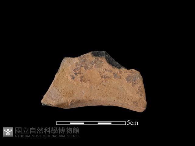 連杯形器藏品圖，第1張