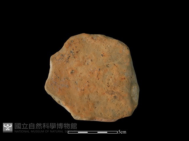 陶片藏品圖，第2張