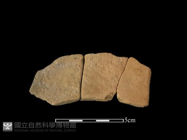 連杯形器藏品圖，第2張