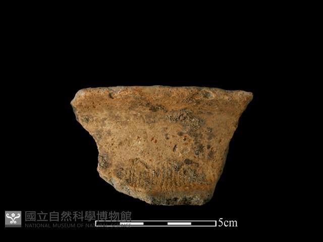 陶罐藏品圖，第1張