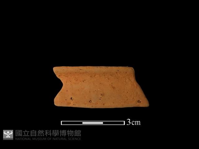 陶片藏品圖，第2張