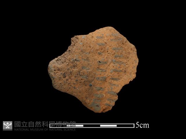 陶把藏品圖，第2張