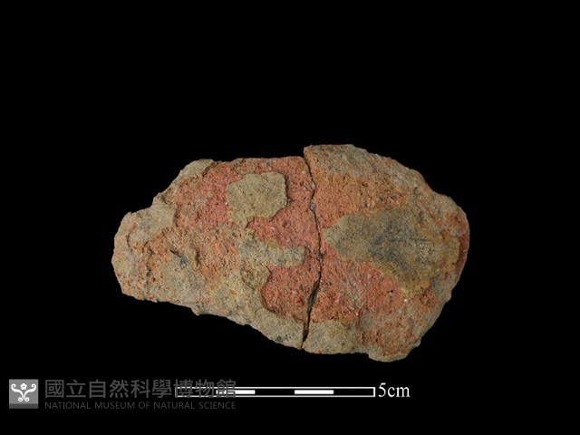 陶片藏品圖，第2張