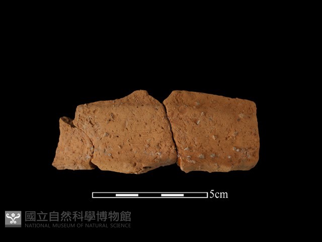 陶罐藏品圖，第2張