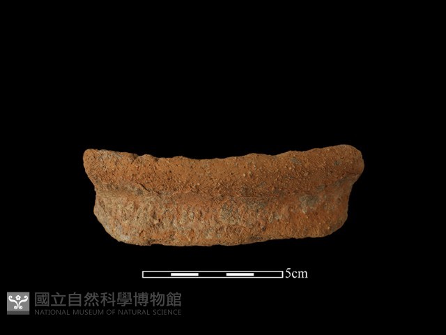 陶罐藏品圖，第2張