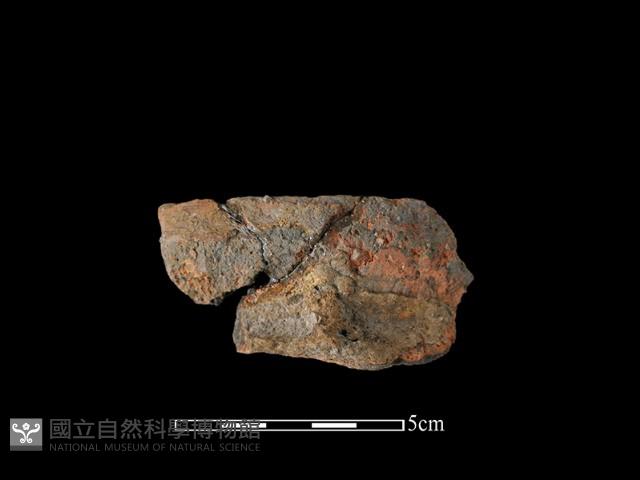 陶罐藏品圖，第2張