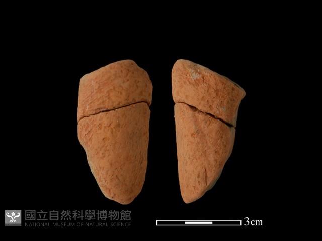 陶把藏品圖，第1張