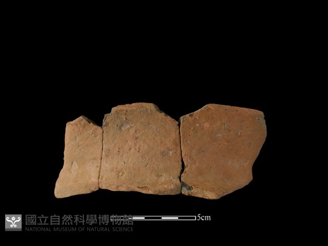 陶罐藏品圖，第1張