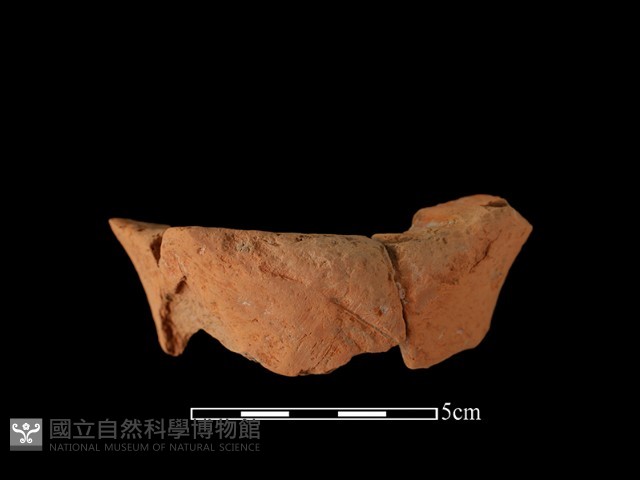 陶片藏品圖，第2張