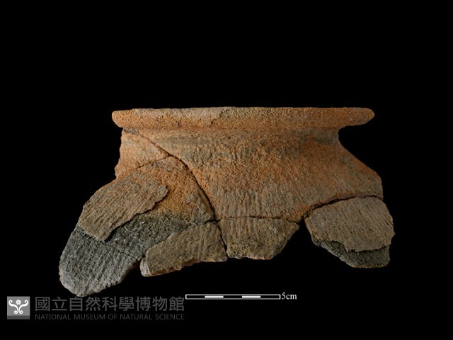 陶罐藏品圖，第2張