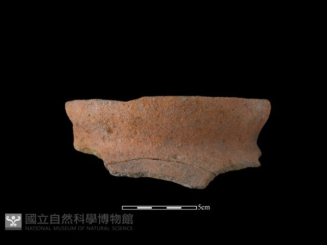 陶罐藏品圖，第2張