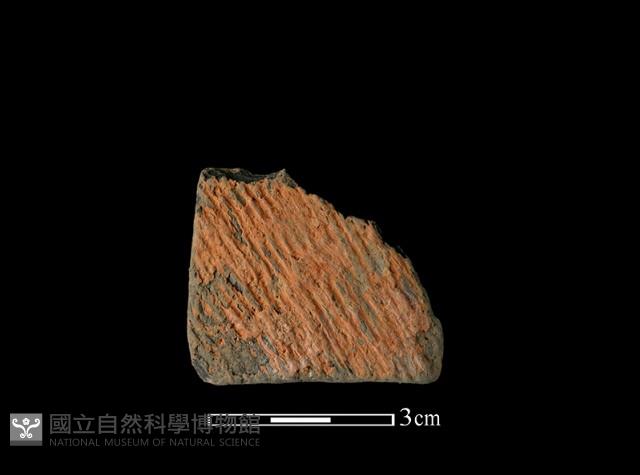 陶片藏品圖，第1張