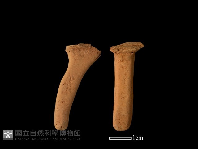 陶片藏品圖，第1張