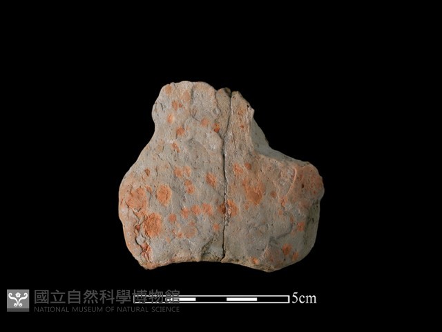 陶缽藏品圖，第1張
