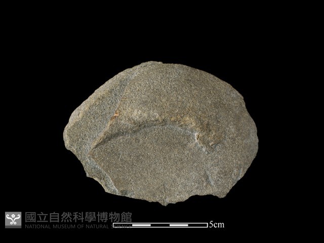 石片藏品圖，第2張