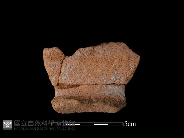 陶罐藏品圖，第1張