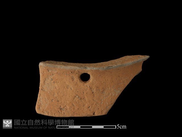 陶片藏品圖，第2張