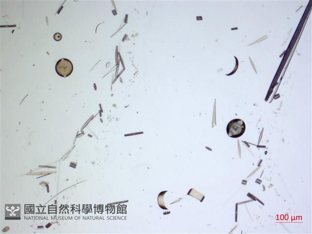 登錄號:A00004632藏品圖，第2張