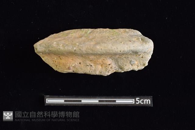 陶片藏品圖，第1張