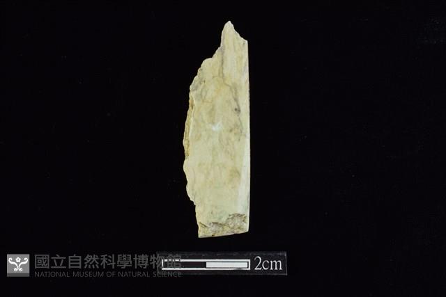 錛鑿形器藏品圖，第2張