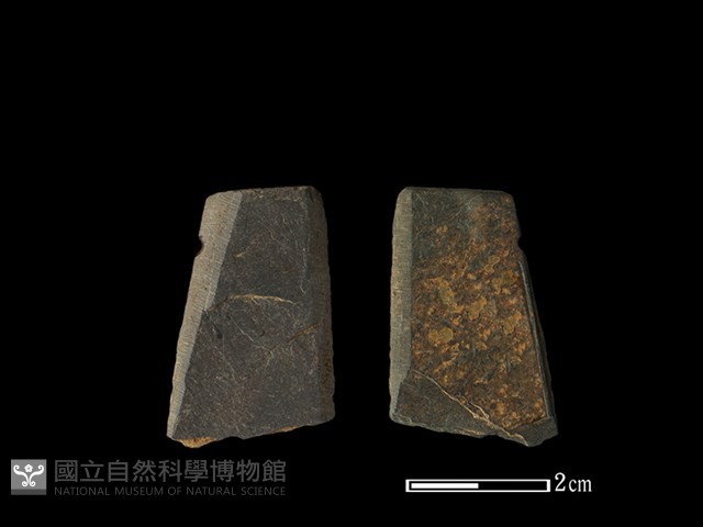 矛鏃形器藏品圖，第1張