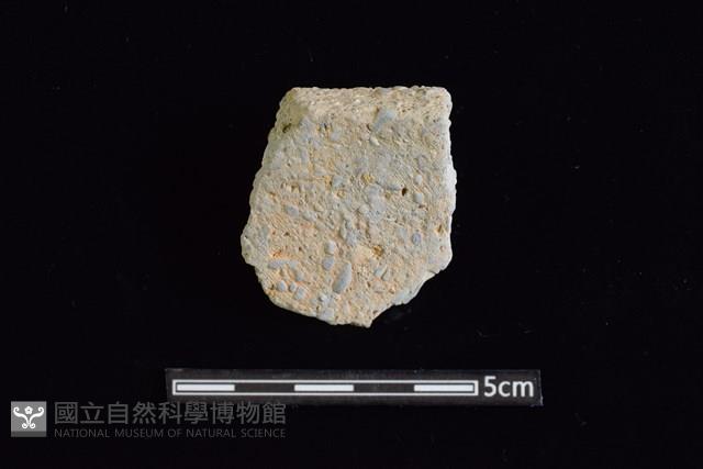 陶缽藏品圖，第1張