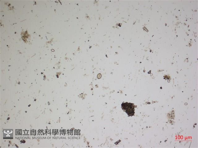 登錄號:A00004532藏品圖，第2張