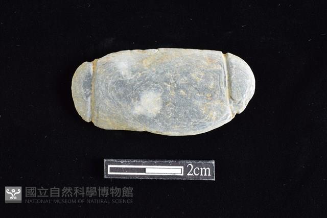 網墜藏品圖，第1張