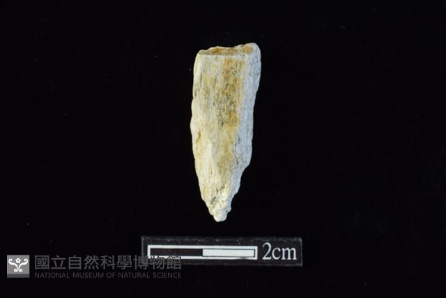 錛鑿形器藏品圖，第1張