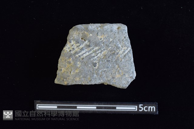 陶罐藏品圖，第1張