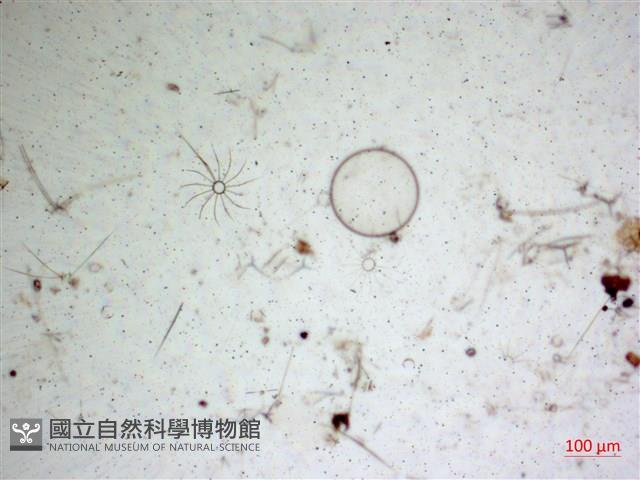 登錄號:A00004652藏品圖，第2張
