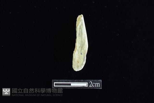 錛鑿形器藏品圖，第2張