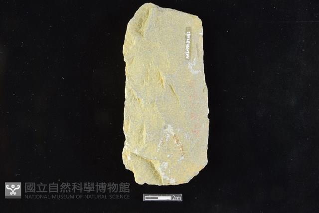 斧鋤形器藏品圖，第2張