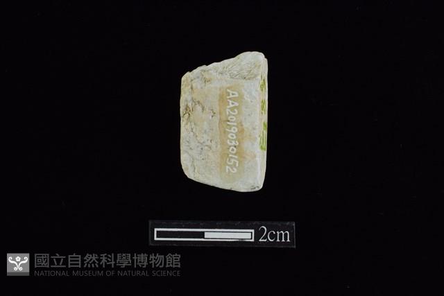 錛鑿形器藏品圖，第2張
