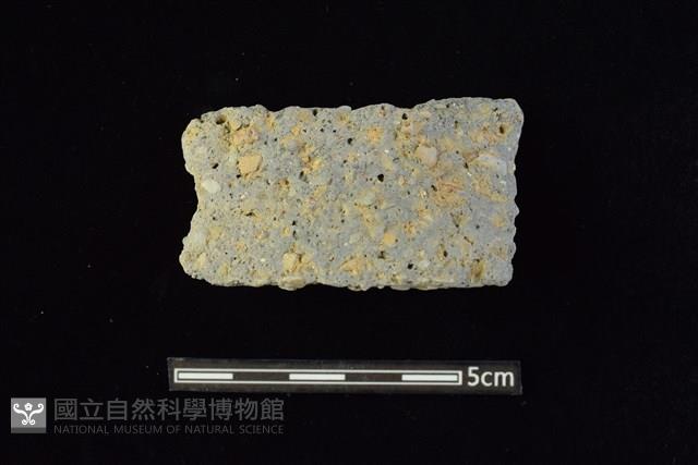 陶罐藏品圖，第1張