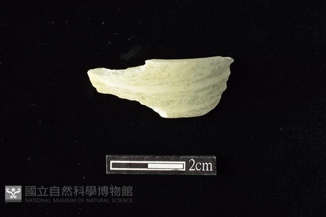 玉環藏品圖，第1張